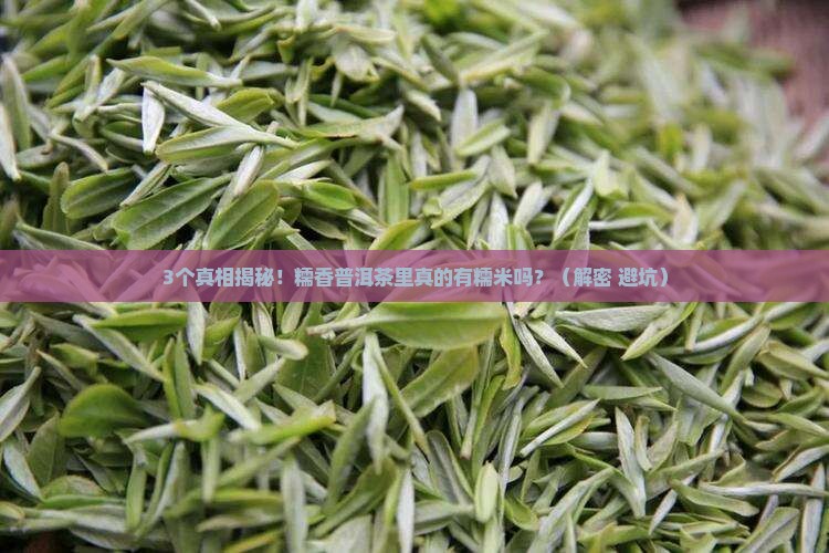 糯香普洱茶是里面有糯米么