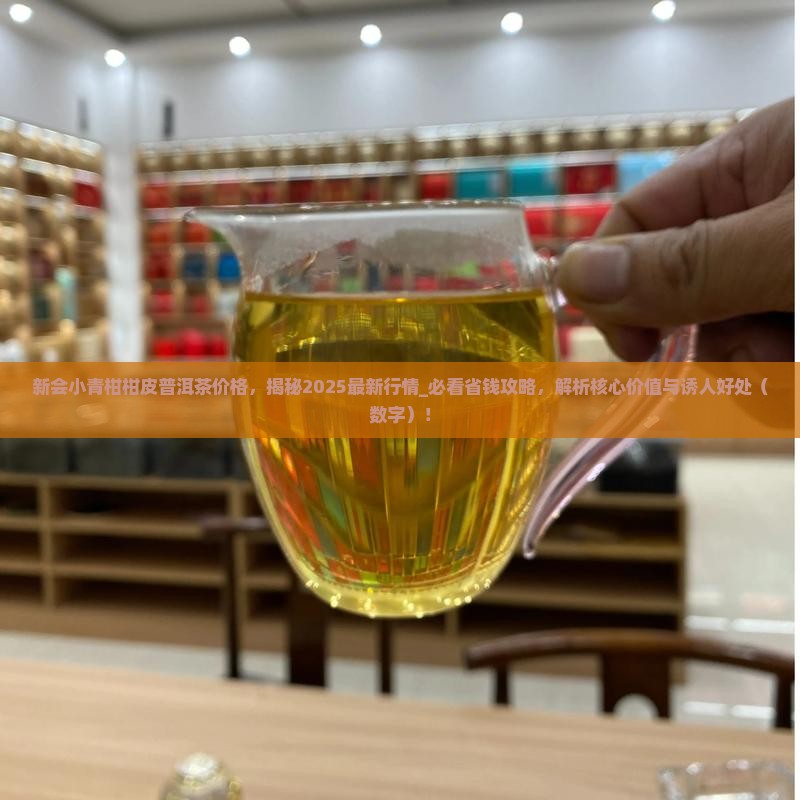 新会小青柑柑皮普洱茶价格