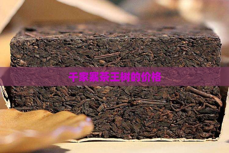 千家寨茶王树的价格