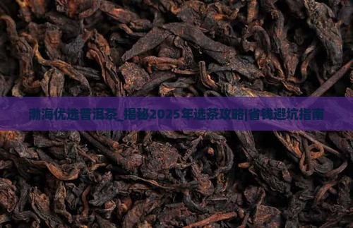 渤海优选普洱茶