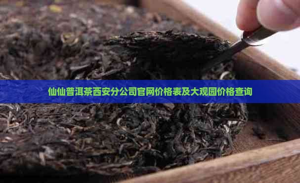 仙仙普洱茶西安分公司