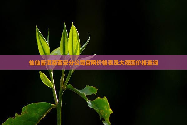 仙仙普洱茶西安分公司