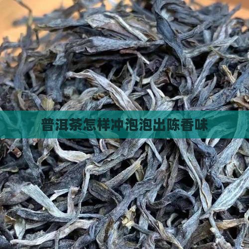 普洱茶怎样冲泡出陈香味