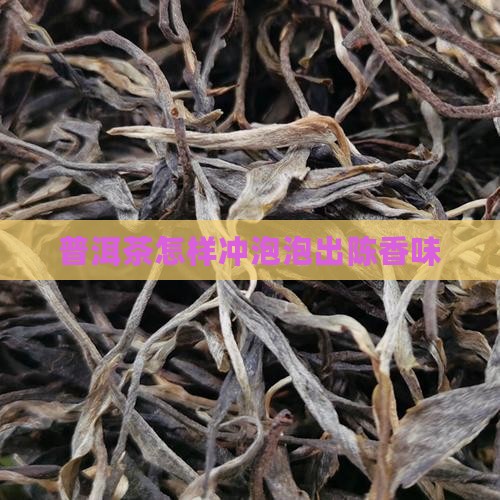 普洱茶怎样冲泡出陈香味