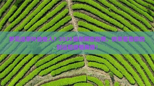 梦见给别人送茶叶什么意思