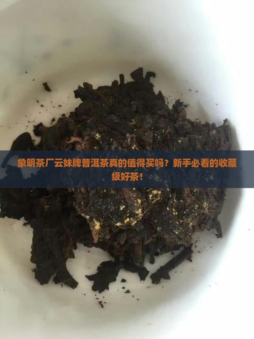 象明茶厂云妹牌普洱茶