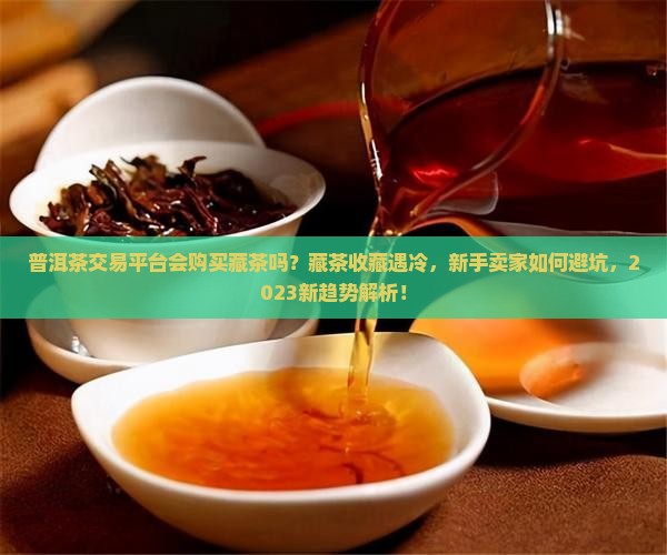 普洱茶交易平台会购买藏茶吗