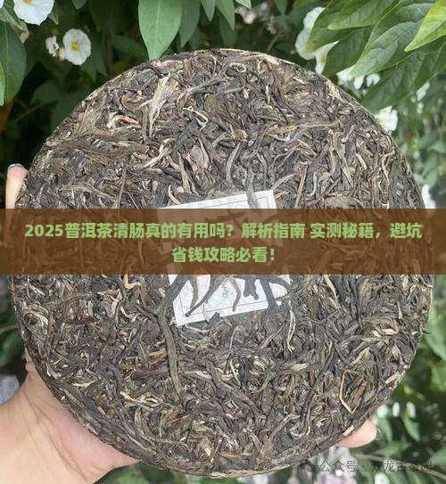 普洱茶清肠有用吗