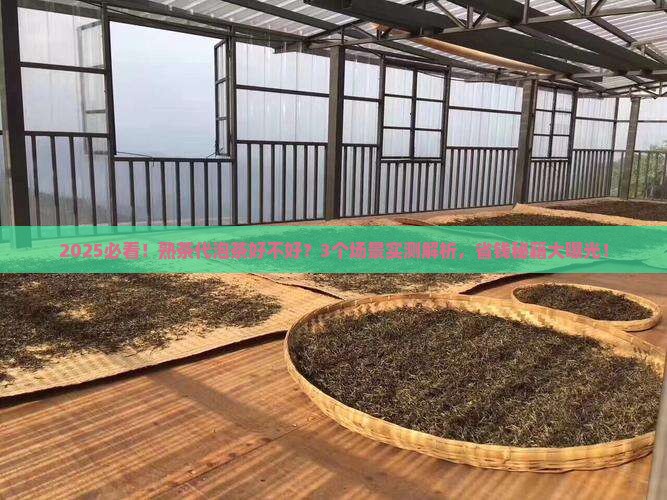普洱茶熟茶代泡茶好不好