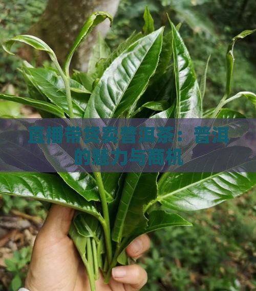 直播带货卖普洱茶怎么样