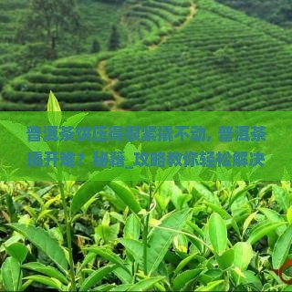 普洱茶饼压得很紧撬不动 普洱茶饼压得很紧撬不动