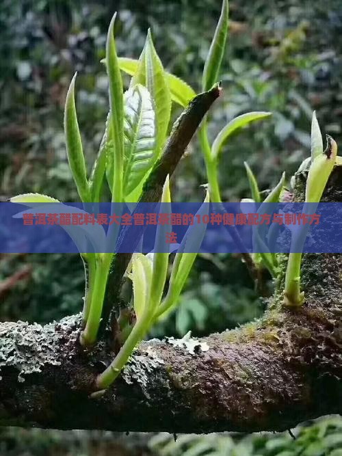 普洱茶醋配料表大全 普洱茶醋配料表大全