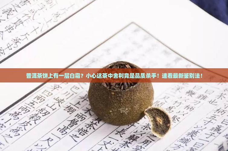 普洱茶饼上有一层白霜 普洱茶饼上有一层白霜