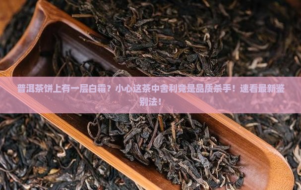 普洱茶饼上有一层白霜 普洱茶饼上有一层白霜