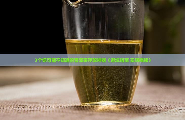 适合存放普洱茶的器具
