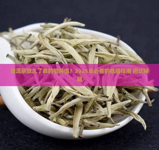 普洱茶可以长时间存放么