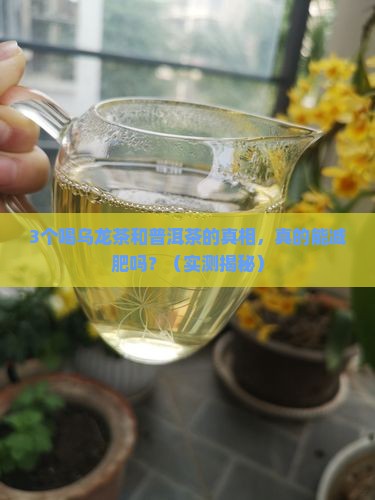 乌龙茶与普洱茶能减肥