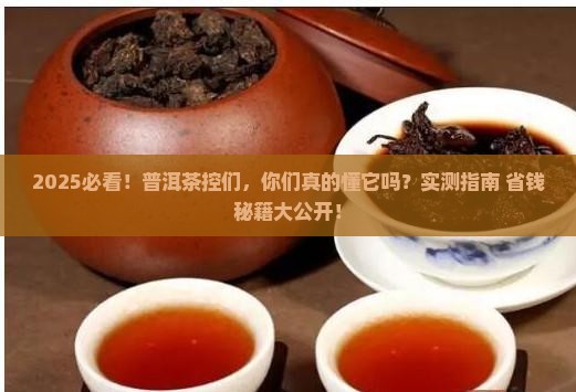 喜欢喝普洱茶吗