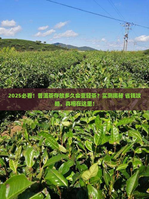 普洱茶存放多久会变轻茶
