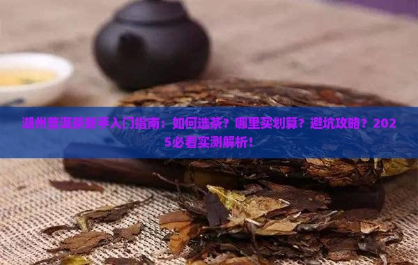 湖州普洱茶新手入门