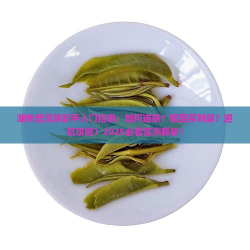 湖州普洱茶新手入门