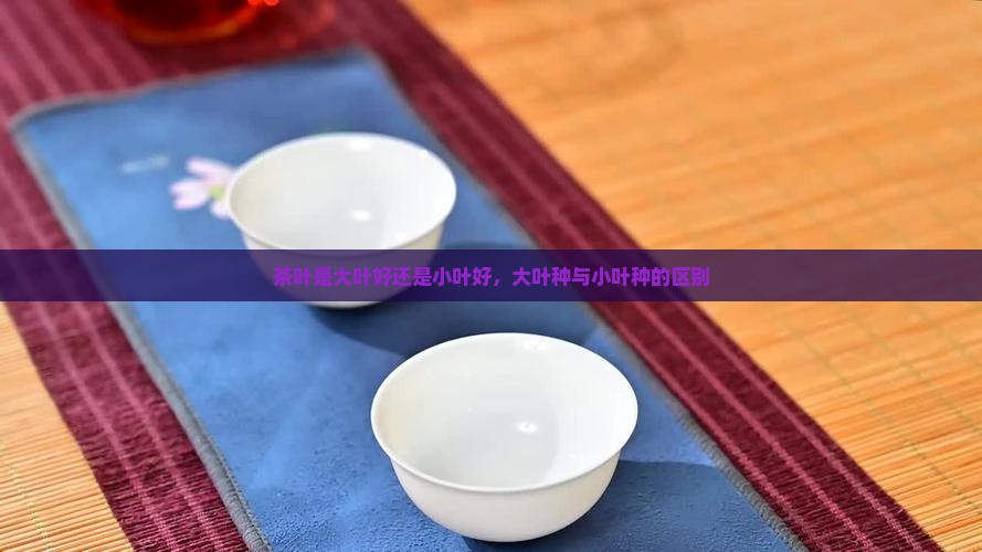 茶叶是大叶好还是小叶好