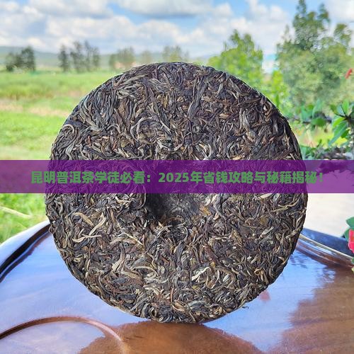 昆明普洱茶学徒