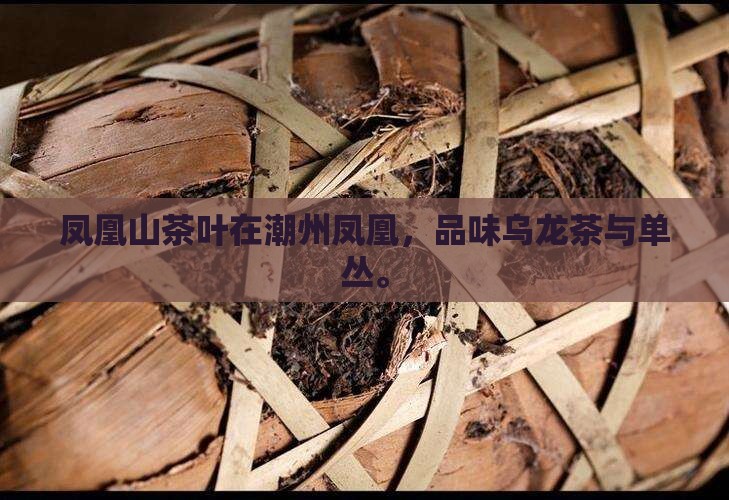 凤凰山茶叶在哪
