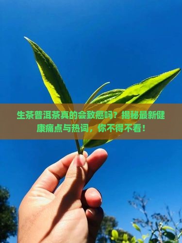 生茶普洱茶致癌