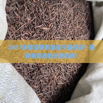 2017年普洱茶