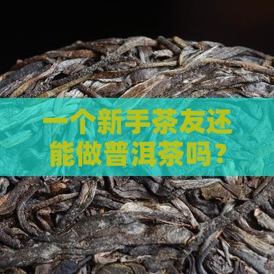 普洱茶还能做吗
