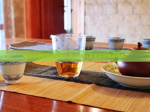 普洱茶里面的絮状物