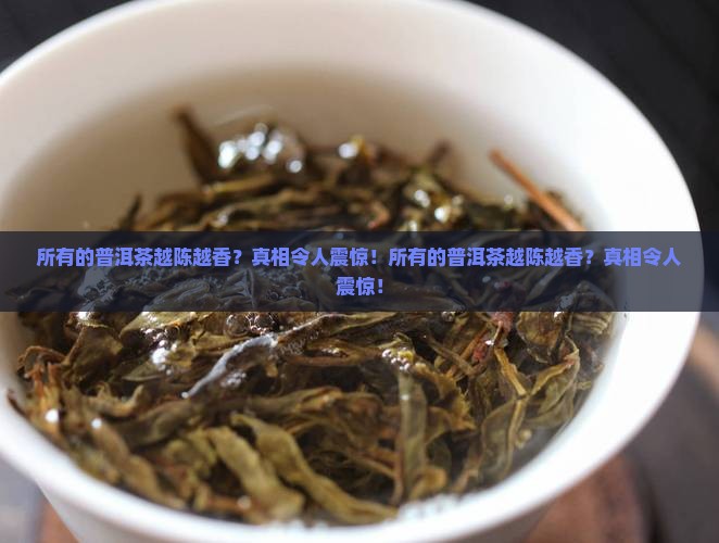 所有的普洱茶越陈越香