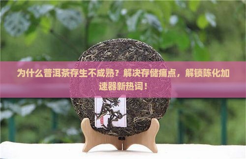 普洱茶存生不成熟