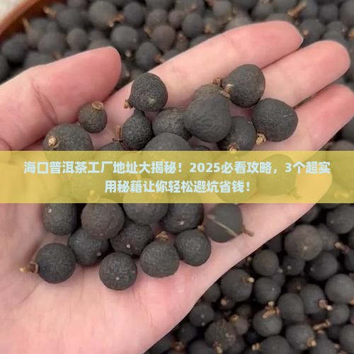 海口普洱茶工厂地址
