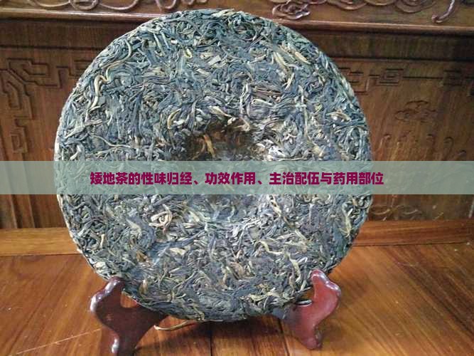 矮地茶的性味归经