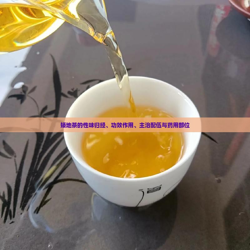 矮地茶的性味归经