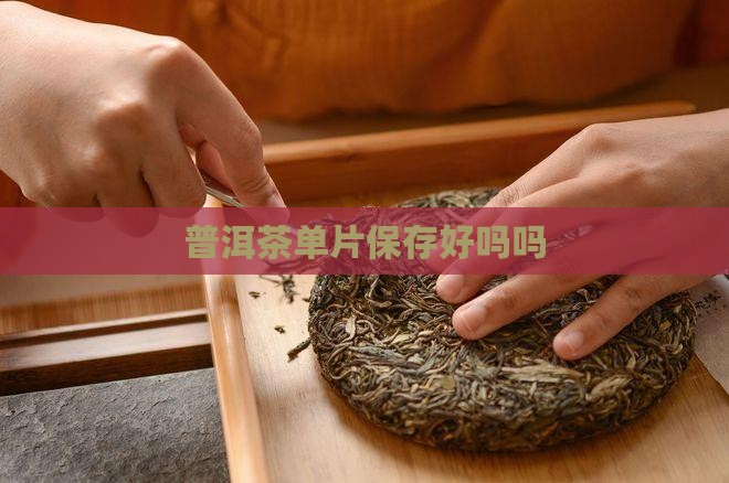 普洱茶单片保存好吗吗