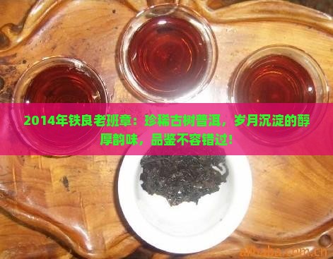 2014年铁良老班章