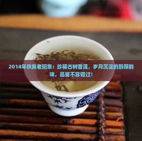 2014年铁良老班章