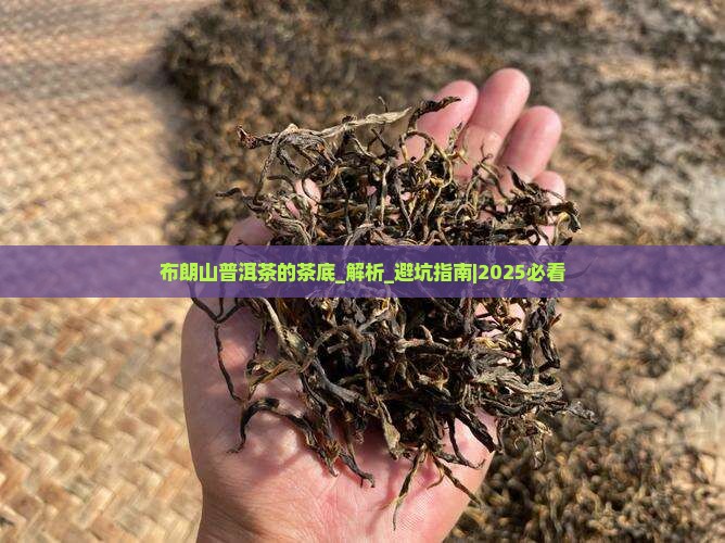布朗山普洱茶的茶底
