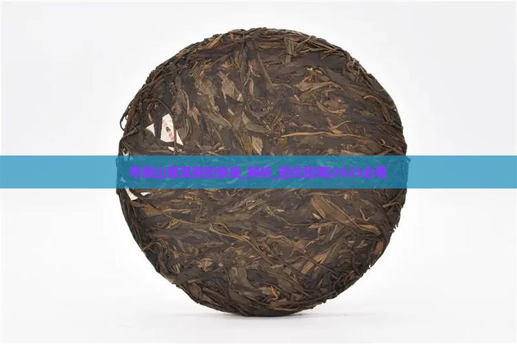 布朗山普洱茶的茶底