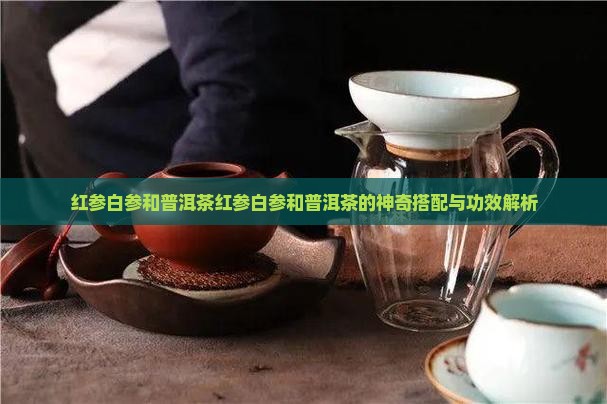 红参白参和普洱茶