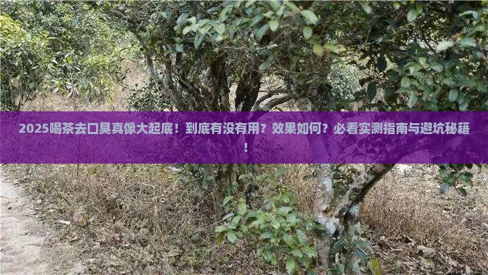 喝茶去口臭有用吗