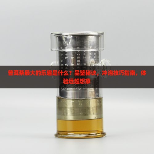 普洱茶最大的乐趣是什么