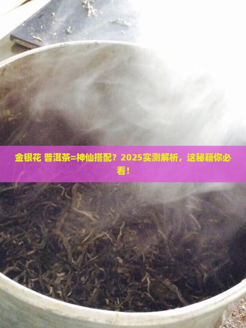 金银花可以泡普洱茶吗百度百科