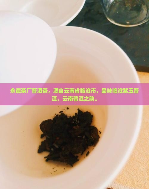 永德茶厂普洱茶