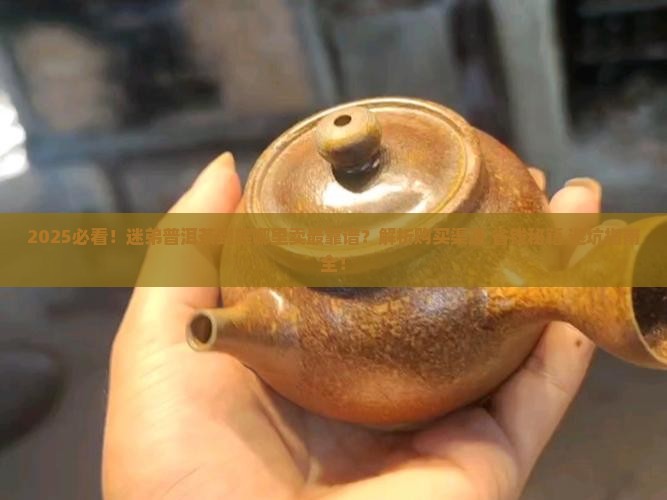 迷弟普洱茶在哪里卖