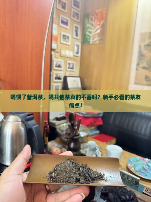 喝惯了普洱茶喝其它茶