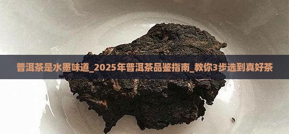 普洱茶是水墨味道